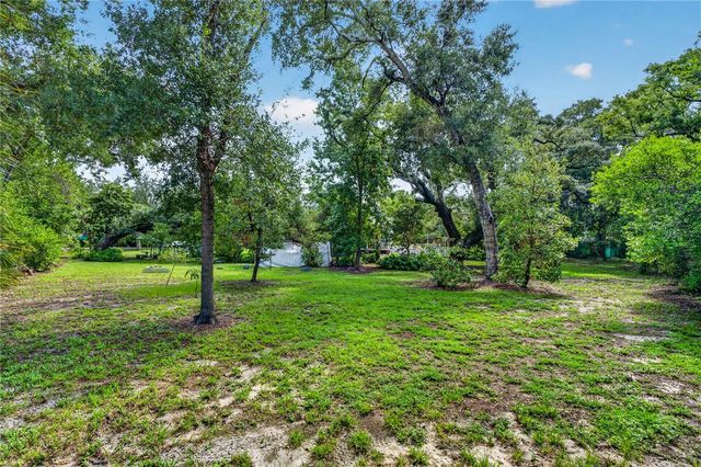 207 N LEVIS AVENUE, Tarpon Springs, FL 34689