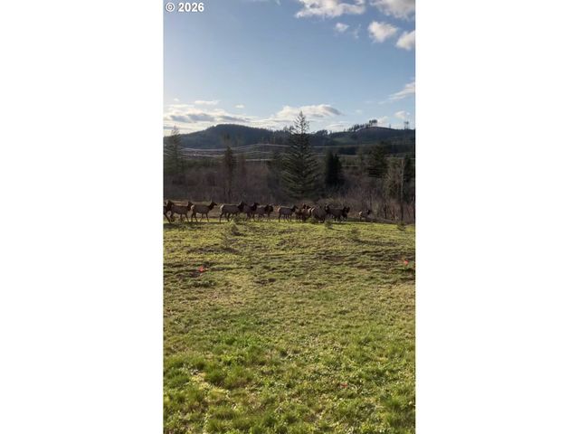 39912 Ne 44TH St, Washougal, WA 98671