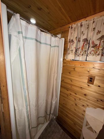 7139 W 5 Mile Road, Irons, MI 49644