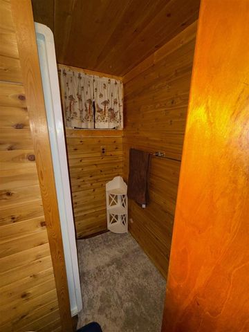 7139 W 5 Mile Road, Irons, MI 49644