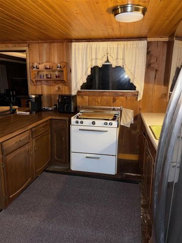 7139 W 5 Mile Road, Irons, MI 49644