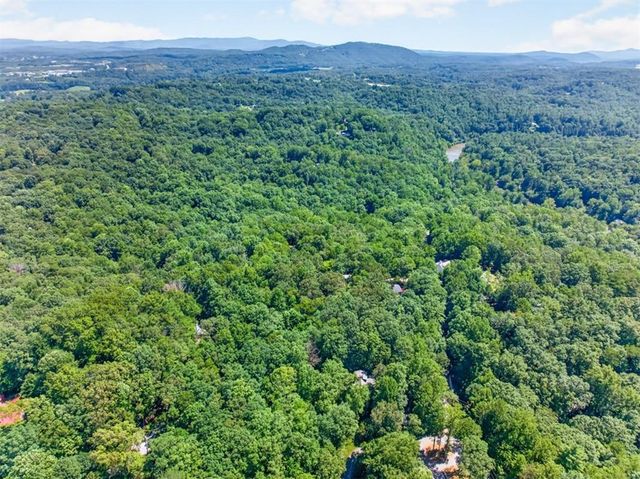 10 Esker Court, Ellijay, GA 30540