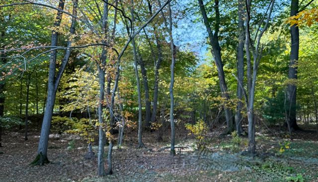 114 Chickering Rd, Dedham, MA 02026