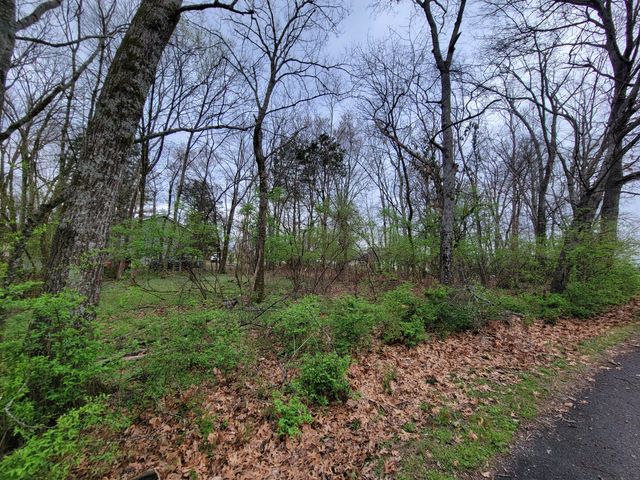 0 Long View Dr, Mount Juliet, TN 37122