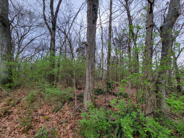 0 Long View Dr, Mount Juliet, TN 37122