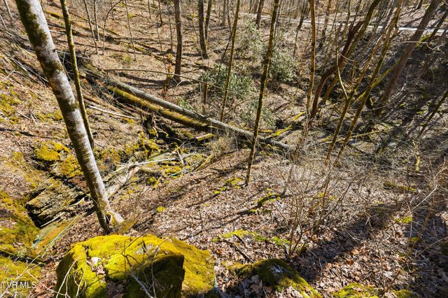 597 Cavern Road, Bristol, TN 37620