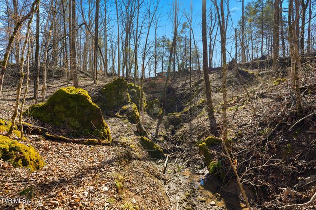 597 Cavern Road, Bristol, TN 37620