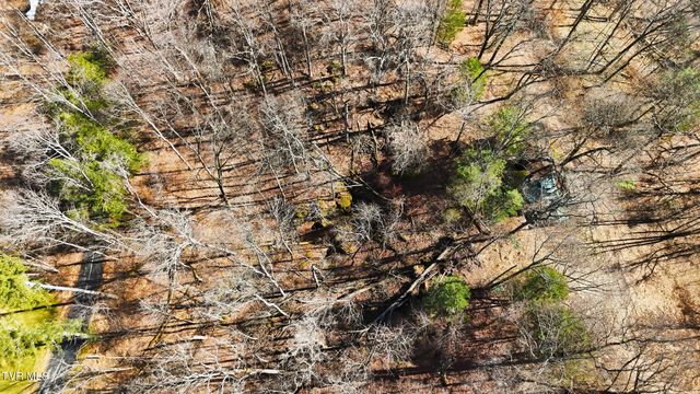 597 Cavern Road, Bristol, TN 37620