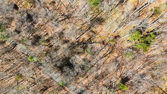 597 Cavern Road, Bristol, TN 37620