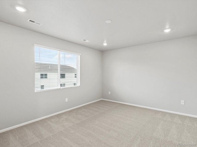 1629 Yampa River Dr, Windsor, CO 80550