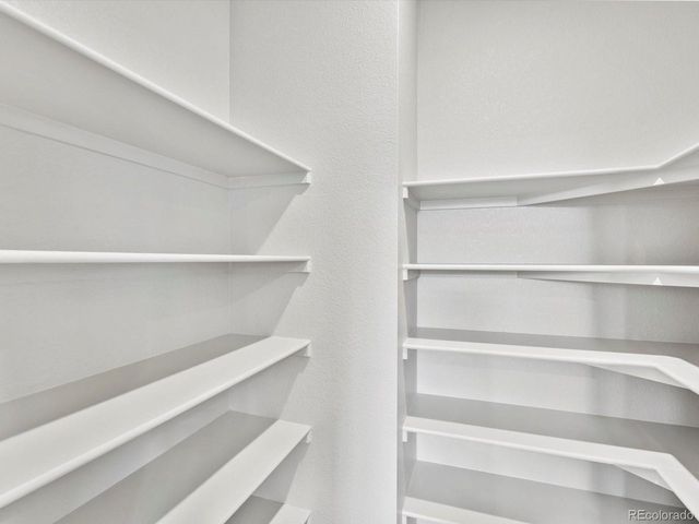 1629 Yampa River Dr, Windsor, CO 80550