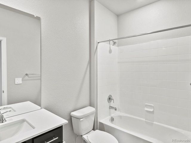 1629 Yampa River Dr, Windsor, CO 80550