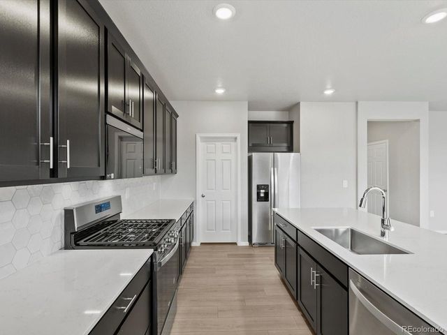 1629 Yampa River Dr, Windsor, CO 80550