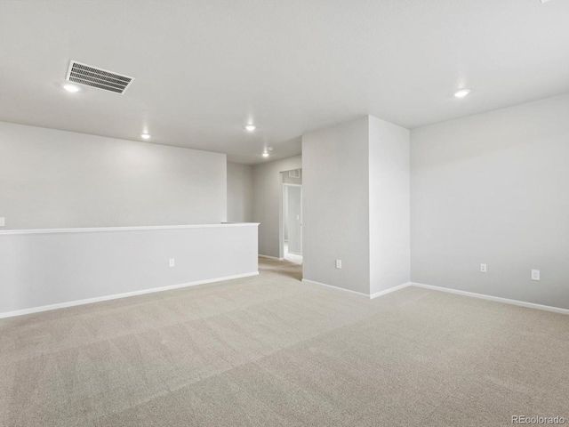 1629 Yampa River Dr, Windsor, CO 80550