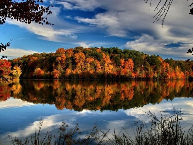 1561 Branthaven Lane, Auburn, GA 30011