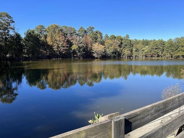 1561 Branthaven Lane, Auburn, GA 30011