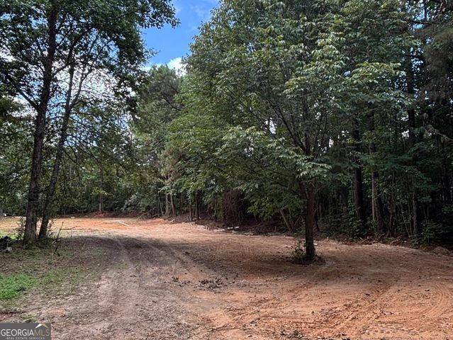17 Blackberry Creek Drive, Carrollton, GA 30116