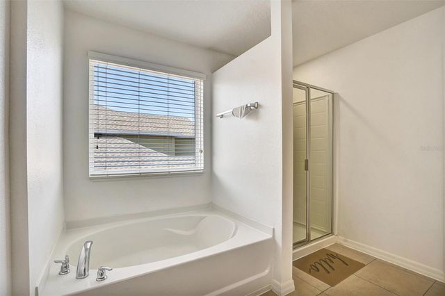 16100 YELLOWEYED DRIVE, Clermont, FL 34714