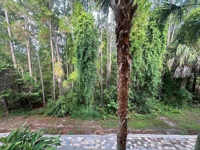 8818 VILLA VIEW CIRCLE 203, Orlando, FL 32821