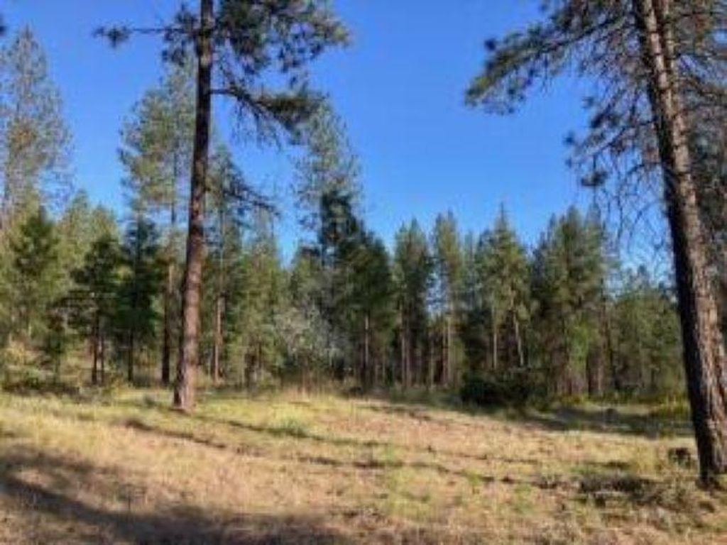 1172 FUMI Cir, Kettle Falls, WA 99141 photo 2