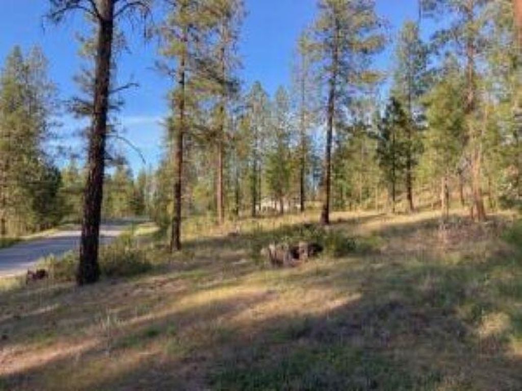 1172 FUMI Cir, Kettle Falls, WA 99141 photo 11