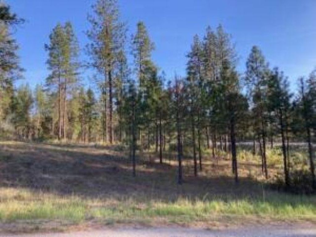 1172 FUMI Cir, Kettle Falls, WA 99141 photo 12