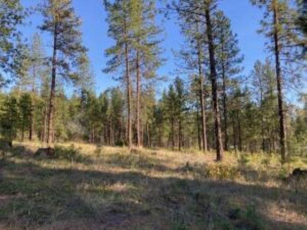 1172 FUMI Cir, Kettle Falls, WA 99141 photo 13