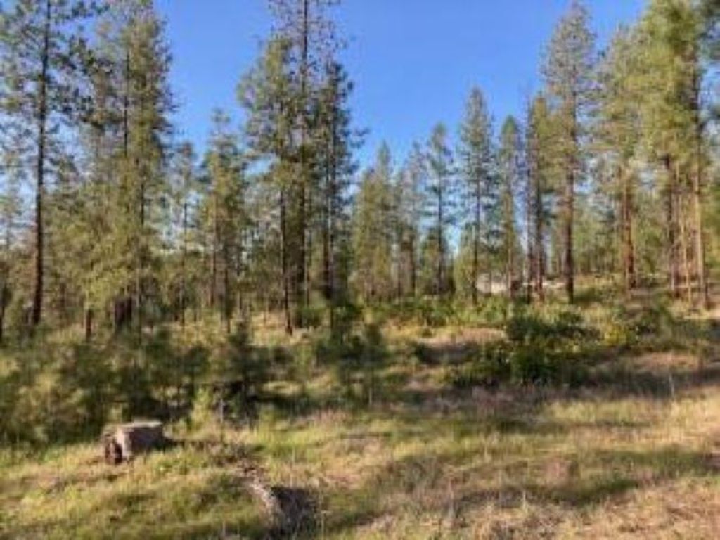 1172 FUMI Cir, Kettle Falls, WA 99141 photo 14