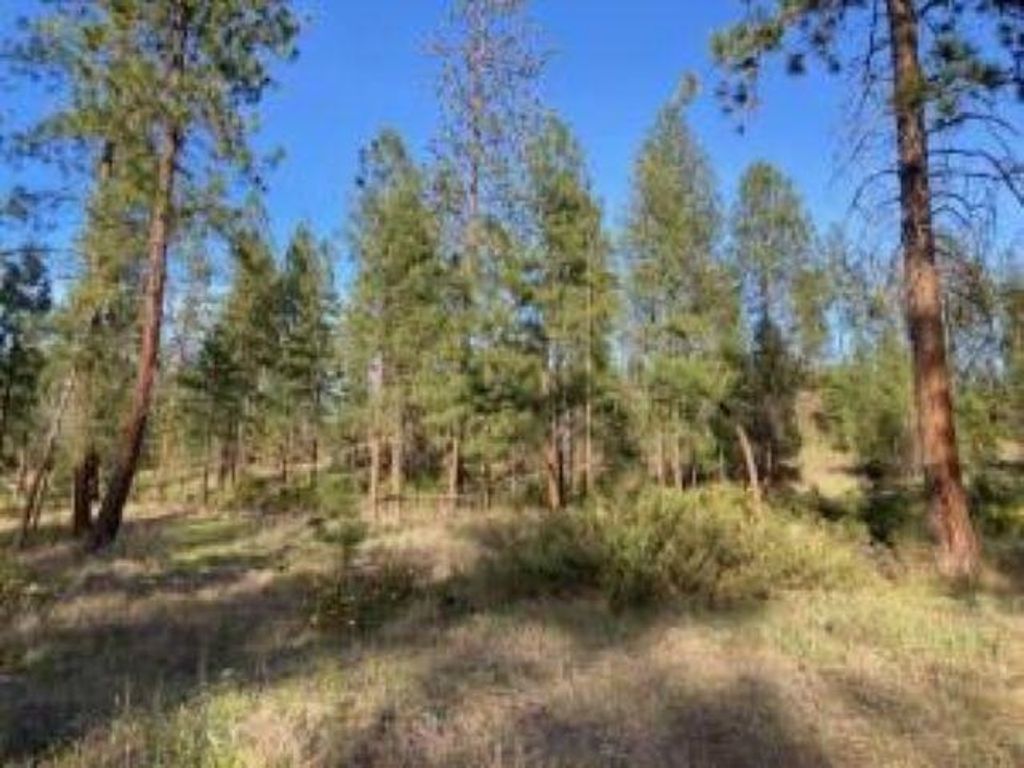1172 FUMI Cir, Kettle Falls, WA 99141 photo 15