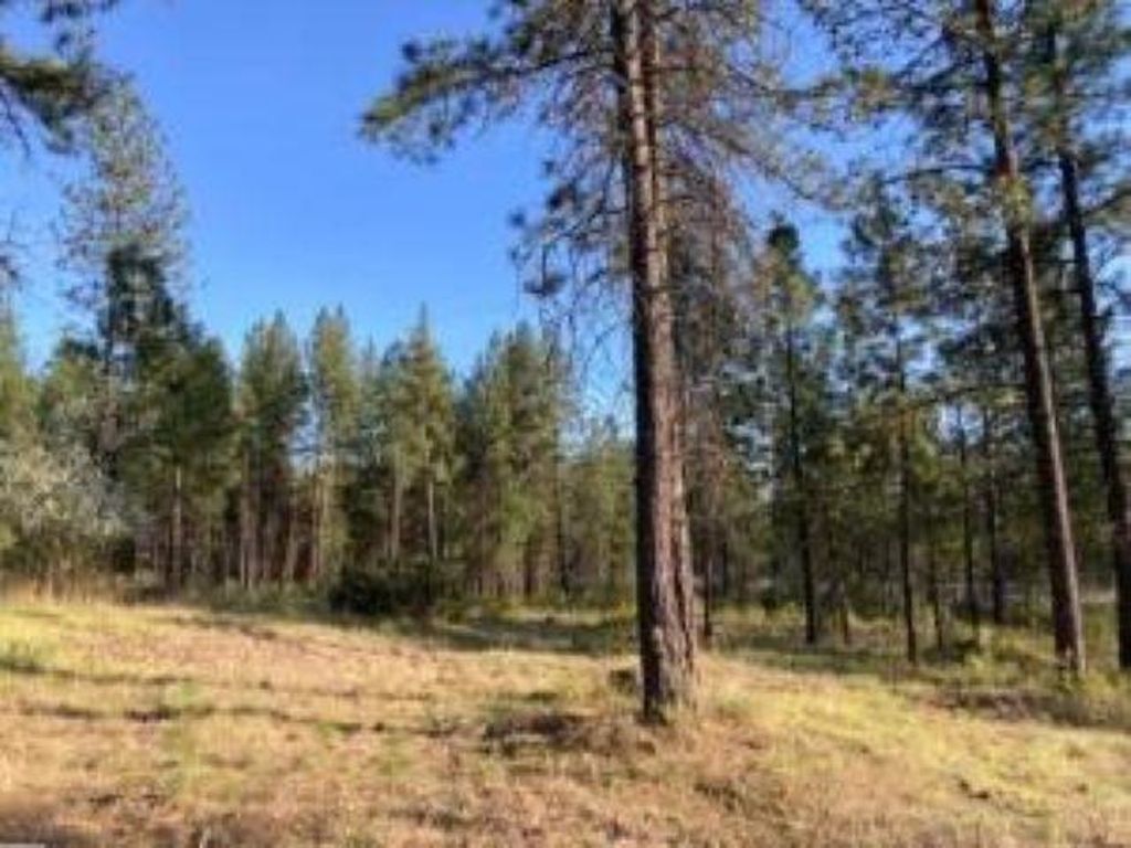 1172 FUMI Cir, Kettle Falls, WA 99141 photo 3