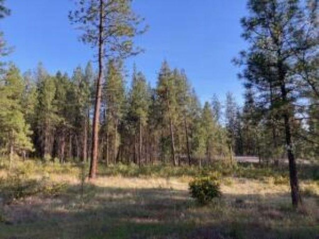 1172 FUMI Cir, Kettle Falls, WA 99141 photo 4