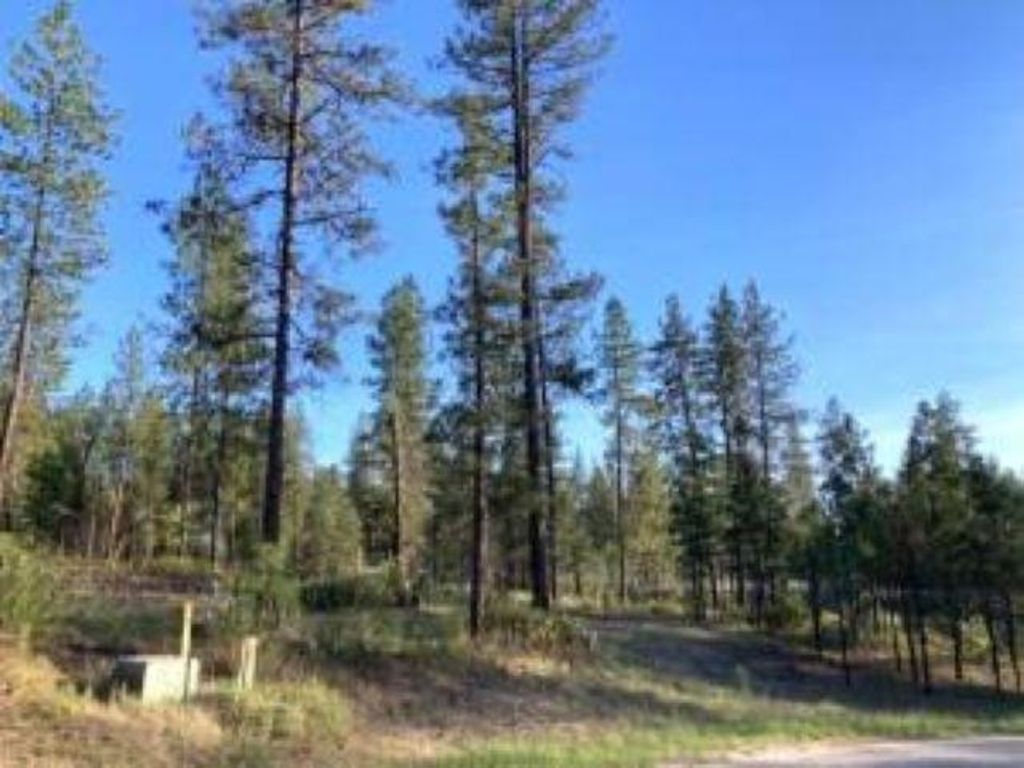 1172 FUMI Cir, Kettle Falls, WA 99141 photo 5