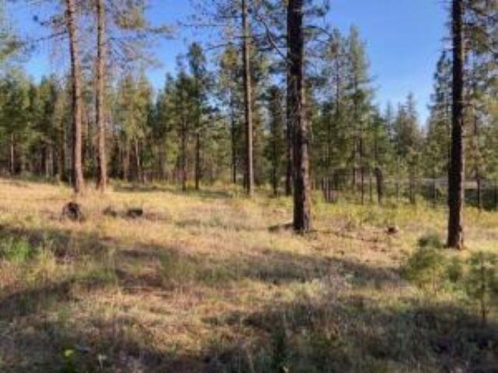 1172 FUMI Cir, Kettle Falls, WA 99141 photo 8