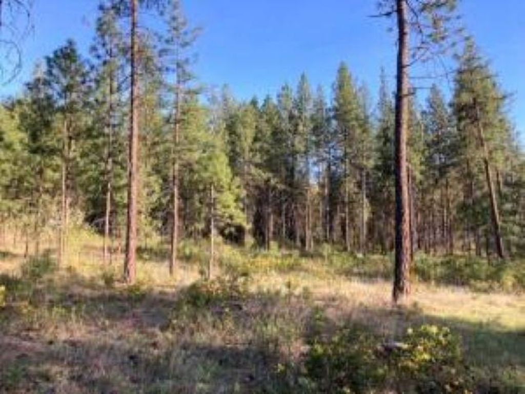 1172 FUMI Cir, Kettle Falls, WA 99141 photo 9