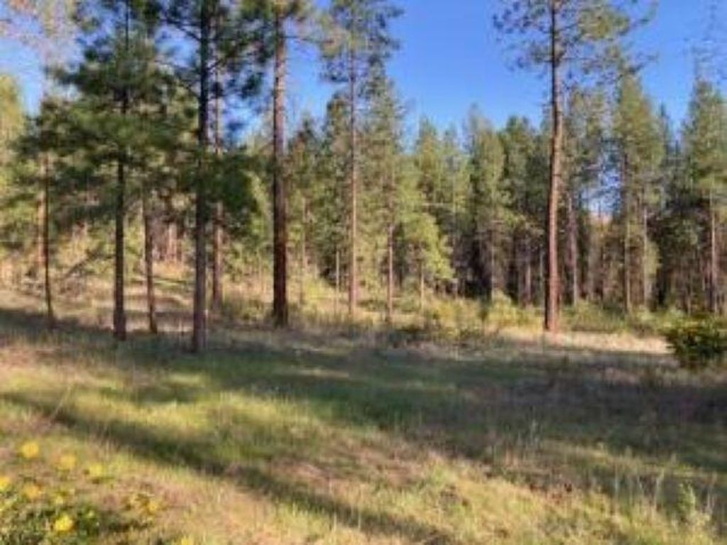 1172 FUMI Cir, Kettle Falls, WA 99141 photo 10