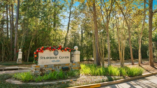 30 Midday Sun Place, The Woodlands, TX 77382