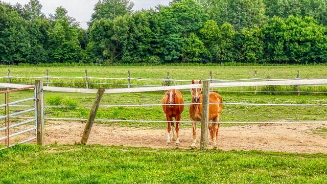 3910 Summit View Road, Dublin, OH 43016