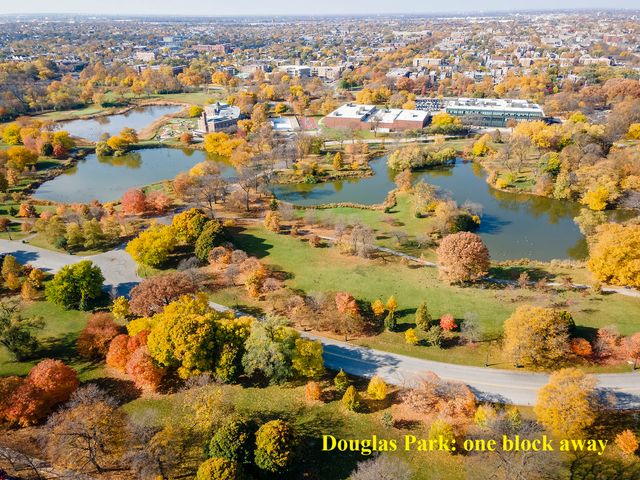 1306 S Fairfield Avenue 2, Chicago, IL 60608