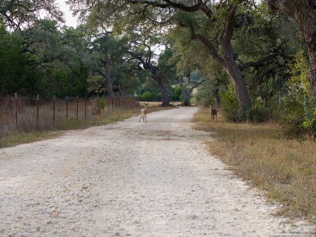 315 Flying R Ranch, Spring Branch, TX 78070
