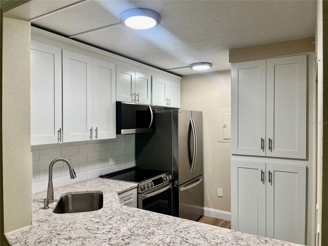 1423 PINE GLEN LANE H2, Tarpon Springs, FL 34688