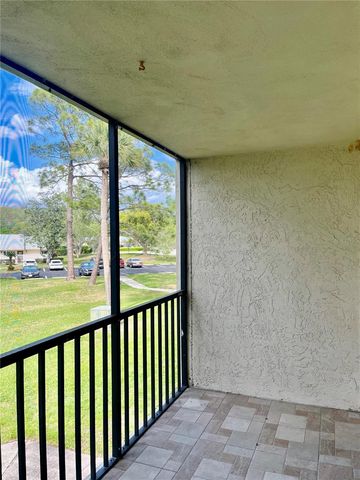 1423 PINE GLEN LANE H2, Tarpon Springs, FL 34688