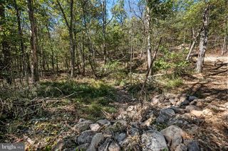 LOT 4 BACK CREEK RD, Gore, VA 22637