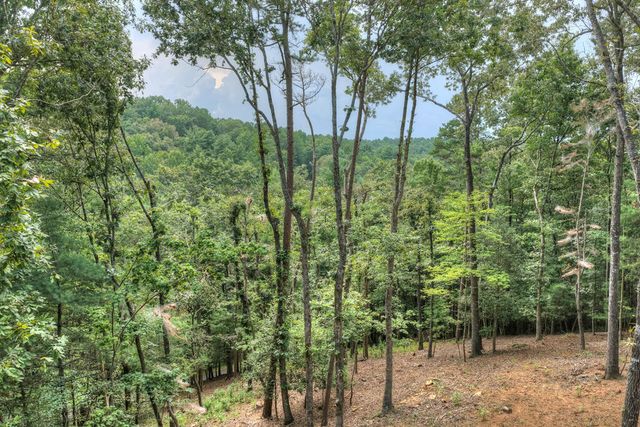 394 Blackberry Circle, Ellijay, GA 30536