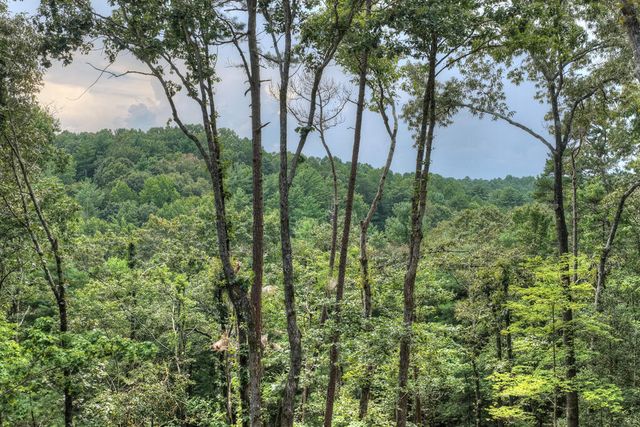 394 Blackberry Circle, Ellijay, GA 30536