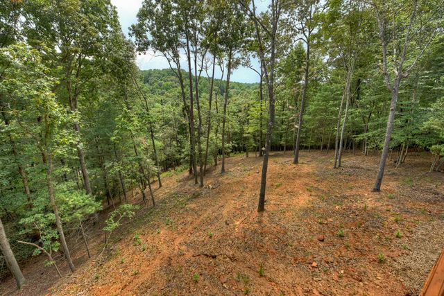 394 Blackberry Circle, Ellijay, GA 30536