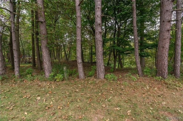 98 Woodlawn Avenue, Lancaster, NY 14086