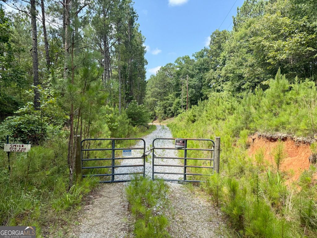 0 N Point Peter Road, Carlton, GA 30627 — photo 2