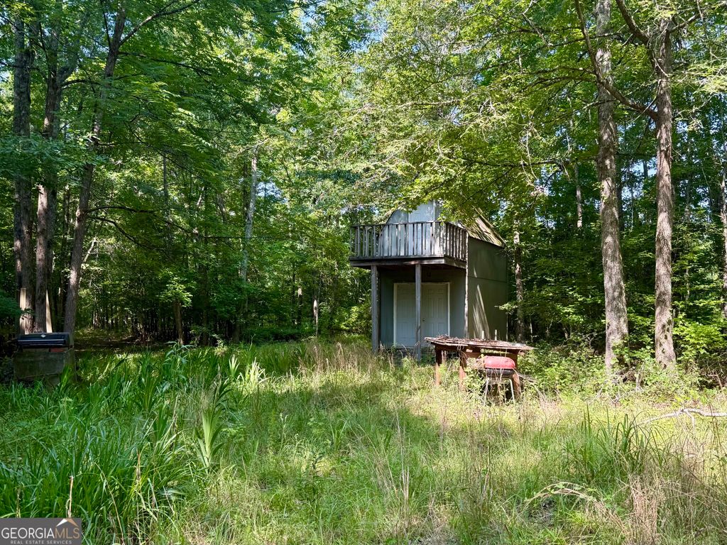 0 N Point Peter Road, Carlton, GA 30627 — photo 3