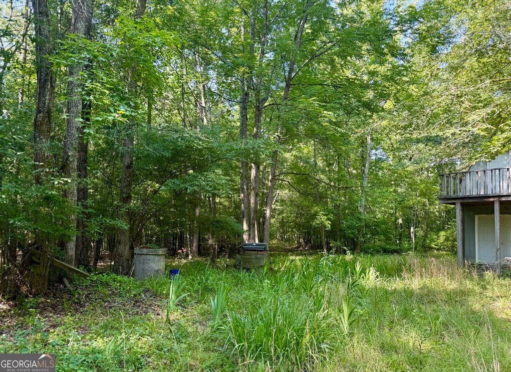 0 N Point Peter Road, Carlton, GA 30627 — photo 4