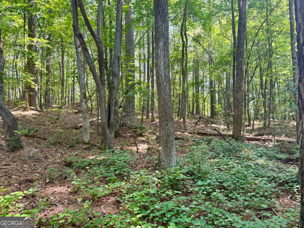 0 N Point Peter Road, Carlton, GA 30627 — photo 5